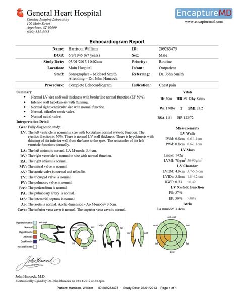 how to read echo report